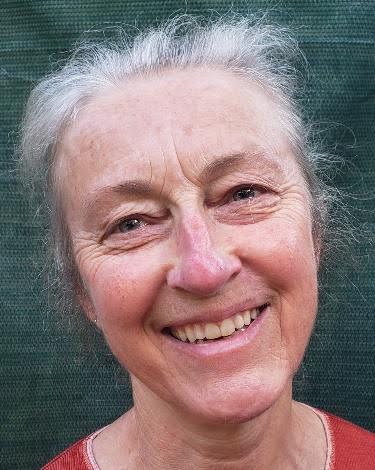 Suellen Thomson-Link